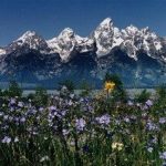Towering Tetons