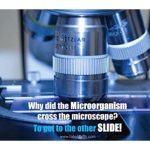 Micro Mousepad